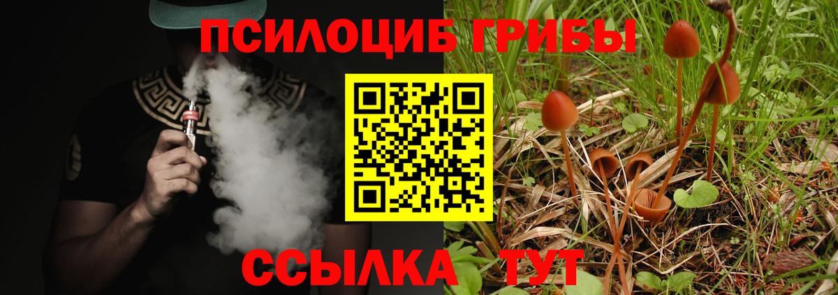 Галлюциногенные грибы MAGIC MUSHROOMS  Вход с VPN  Стерлитамак  Псилоцибиновые грибы мухоморы 